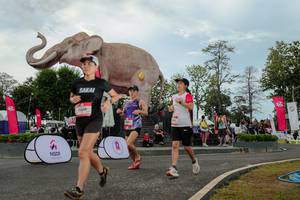 BIB: 
                            <button type="button" onclick="openModal(26528866)" class="btn btn-primary btn-sm float-right btn-popup" data-toggle="modal" data-target=".modal-high-quality">
                        <i class="fas fa-shopping-cart"></i> Add to Cart
                    </button>
                                            <button type="button" onclick="isThisMe(26528866, true)" class="btn btn-success btn-sm float-right btn-popup btn-isme hidden" data-toggle="tooltip" data-placement="bottom" title="นี่คือรูปของคุณใช่ไหม คลิกที่นี่เพื่อเอาเข้าอัลบั้ม">
                        <i class="fas fa-plus"></i> Add to album
                    </button>
                    <button type="button" onclick="isThisMe(26528866, false)" class="btn btn-warning btn-sm float-right btn-popup btn-isnotme hidden">
                        <i class="fas fa-ban"></i> Remove from album
                    </button>